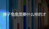 狮子兔兔笼要什么样的才好？