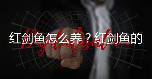 红剑鱼怎么养？红剑鱼的饲养环境