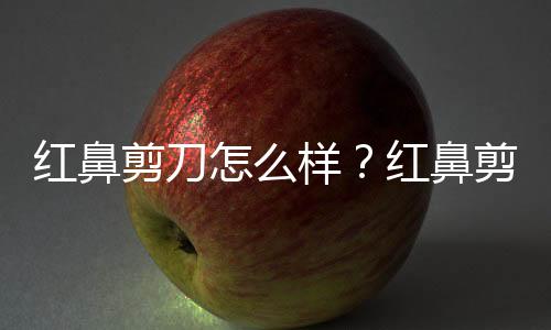 红鼻剪刀怎么样？红鼻剪刀是什么鱼？