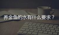 养金鱼的水有什么要求？