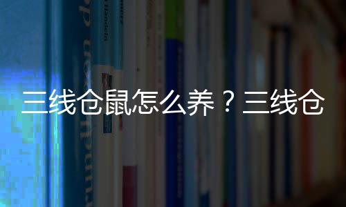 三线仓鼠怎么养？三线仓鼠孕期护理