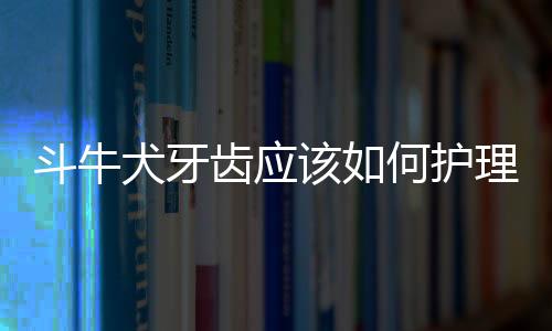 斗牛犬牙齿应该如何护理？